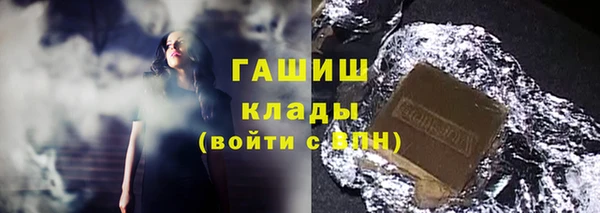 хмурый Гусев