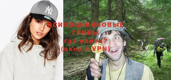 хмурый Гусиноозёрск