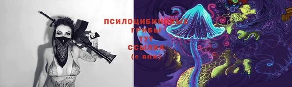 spice Гусь-Хрустальный