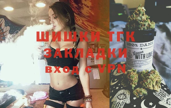 хмурый Гусев