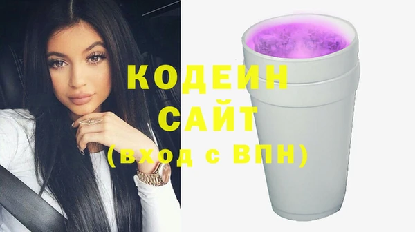 хмурый Гусев