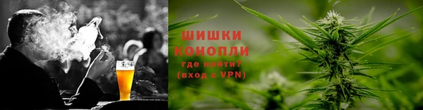 гашик Тавда