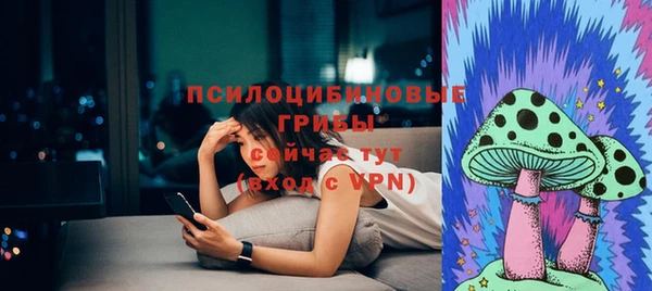 spice Гусь-Хрустальный