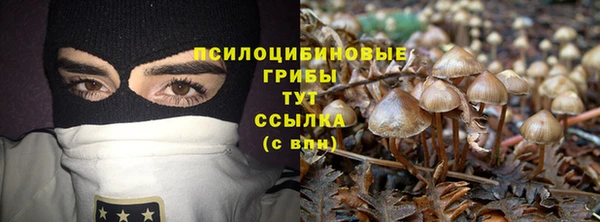 хмурый Гусев