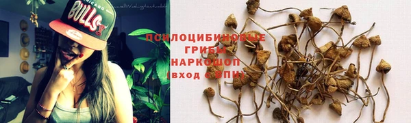 хмурый Гусиноозёрск