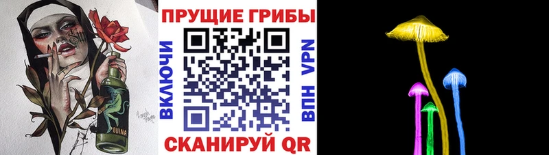 OMG онион  Якутск  Псилоцибиновые грибы мухоморы 